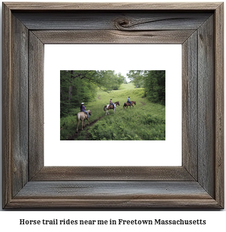 horse trail rides near me in Freetown, Massachusetts